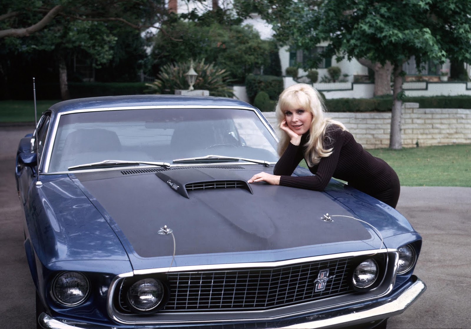 Want to know Barbara Edens money situation? Learn the net worth of Barbara Eden here!